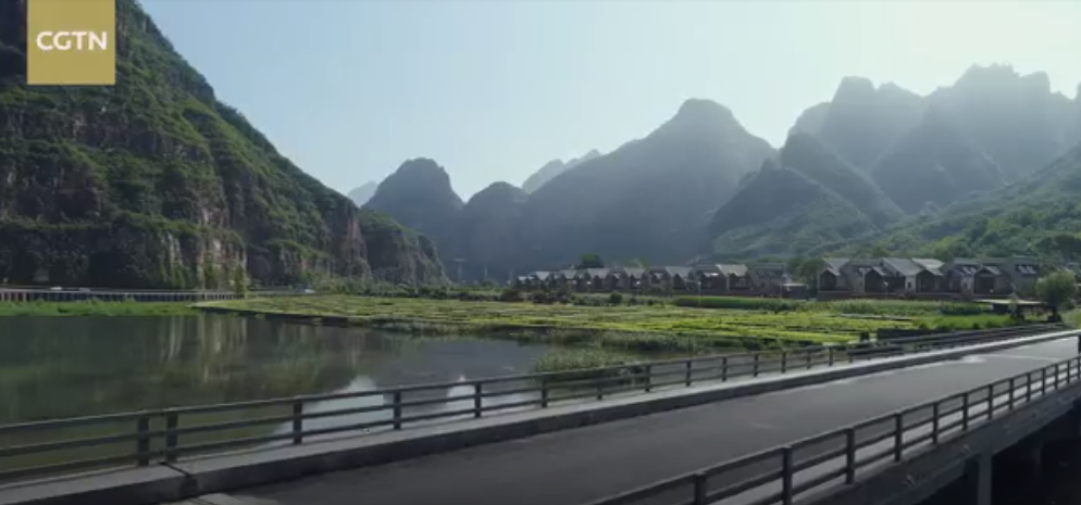 麻麻花的山坡